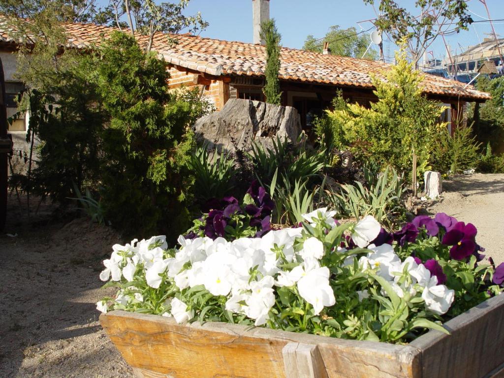 Hospedium Hacienda Las Cavas 올메도 외부 사진